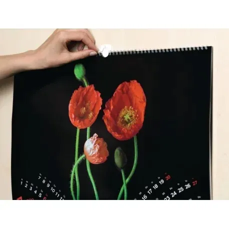 tesa-haczyki-wieszaki-samoprzylepne-do-1kg-na-obrazy-ramki-biale-2szt