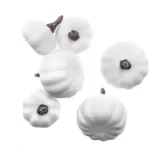 mini-dynie-mix-6szt-biale