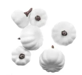 mini-dynie-mix-6szt-biale