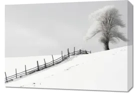 obraz-70x50cm-samotnosc-zimy-przy-plocie