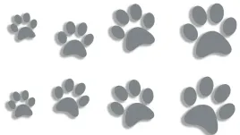 wycinane-naklejki-lapki-kot-pies-8-sztuk-szare