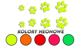wycinane-naklejki-lapki-kot-pies-8-sztuk-kolory-neonowe