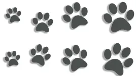 wycinane-naklejki-lapki-kot-pies-8-sztuk-grafitowe