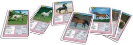 gra-karciana-konie-dla-milosnikow-koni-edukacyjna-wersja-niemiecka