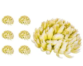 chryzantema-ananas-jasno-zielona-6-sztuk