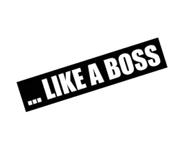 naklejka-like-a-boss