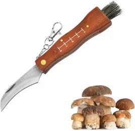 nozyk-z-pedzelkiem-do-zbierania-grzybow-maly-kieszonkowy-drewniany-uchwyt