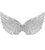 srebrne-skrzydla