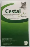 cestal-tabletki-dla-kota