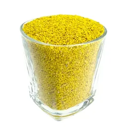 lucerna-otoczkowana-c1-gea-cigale-ludelis-andantino-emiliana