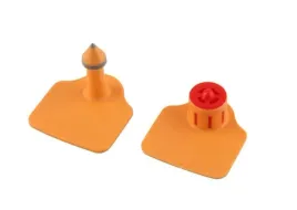 kolczyk-dla-owiec-flexoplus-l-czesc-meska-i-zenska-pomaranczowy-caisley