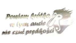 wycinana-naklejka-nosacz-janusz-w-tym-aucie-nie-czuc-predkosci-chrom