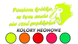 wycinana-naklejka-nosacz-janusz-w-tym-aucie-nie-czuc-predkosci-neony