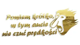 wycinana-naklejka-nosacz-janusz-w-tym-aucie-nie-czuc-predkosci-zloty-chrom