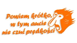 wycinana-naklejka-nosacz-janusz-w-tym-aucie-nie-czuc-predkosci-pomaranczowa