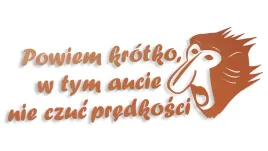 wycinana-naklejka-nosacz-janusz-w-tym-aucie-nie-czuc-predkosci-miedziana