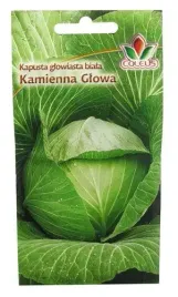 kapusta-glowiasta-biala-kamienna-glowa-1g