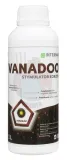vanadoo-1-l-intermag