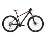 rower-kross-level-2-0-29-2022