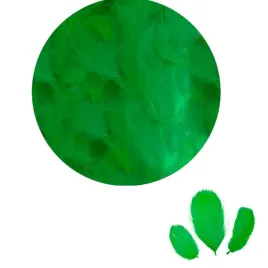 titanum-piorka-dekoracyjne-zielone-16g-414333