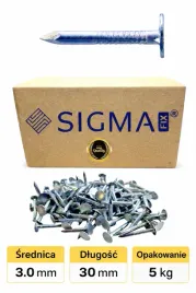 gwozdzie-do-papy-papowe-papiaki-3x30-mm-ocynk-5-kg