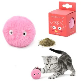 interaktywna-pilka-dla-kota-z-dzwiekiem-ptaka-kocimietka-6cm-u044