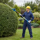 nozyce-elektryczne-teleskopowe-do-zywoplotu-blaupunkt-1500w-wysiegnik-pas-marka-blaupunkt