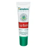 balsam-do-ust-himalaya-10g