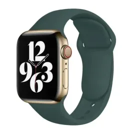 pasek-do-apple-watch-1-2-3-4-5-6-38-40