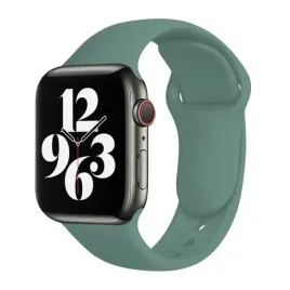 pasek-do-apple-watch-1-2-3-4-5-6-38-40