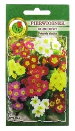 pierwiosnek-ogrodowy-mieszany-01g