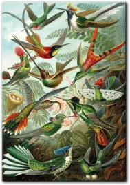 obraz-kolorowe-ptaki-80x115-cm