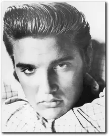 elvis-presley-portret-40x50-cm