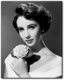 elizabeth-taylor-portret-40x50-cm