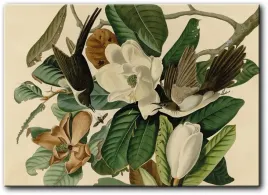obraz-ptaki-z-bialym-kwiatem-70x50-cm
