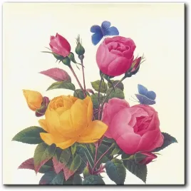 obraz-roze-40x40-cm