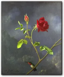 obraz-martin-johnson-heade-koliber-i-roza-58x70-cm