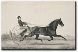 litografia-louis-a-maurer-a-klusak-i-dwukolka-100x65-cm