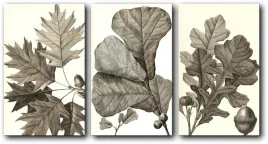 obraz-tryptk-zoledziowe-drzewa-120x65-cm-40x65-cm-3-sztuki