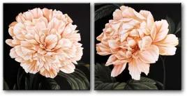 obraz-rozowe-piwonie-w-rozkwicie-140x70-cm-70x70-cm-2-szt
