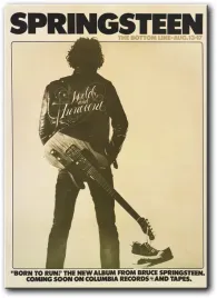 obraz-bruce-springsteen-50x70-cm