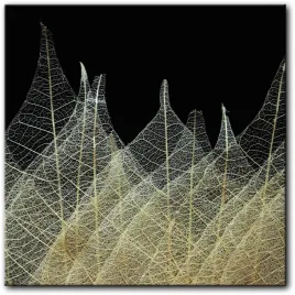 obraz-liscie-80x80-cm