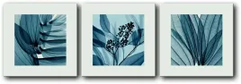 obraz-tryptyk-rosliny-pod-rentgenem-150x50-cm-50x50-cm-3-szt