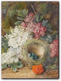 obraz-george-clare-martwa-natura-z-jajkami-52x70-cm