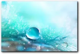 obraz-pioro-i-krople-rosy-120x80-cm