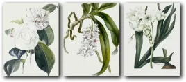 tryptyk-kwiaty-114x50-38x50-cm-3-szt