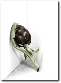 obraz-karczoch-50x70-cm