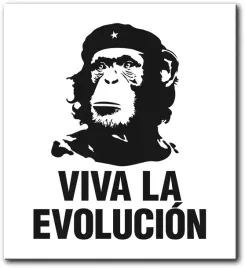 obraz-viva-la-evolucion-60x66-cm