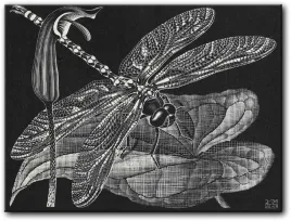 wazki-m-c-escher-80x60-cm