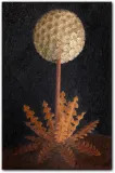 obraz-dmuchawiec-65x100-cm